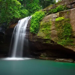 Waterfall in a Forest Waterfall in a Forest
