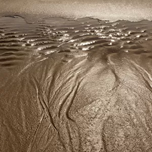 Wet sand ripples
