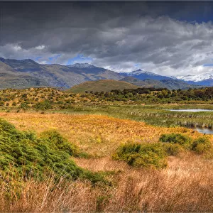 Wetlands at Glenorchy, South Island, New Zealand