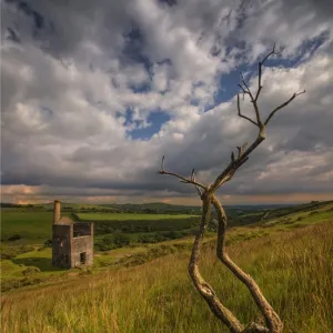 Wheal Betsy, Cornwall, England, United Kingdom