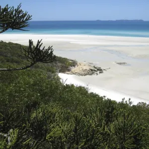White silica sand beach, Hill Inlet, Tounge Point, Whitsunday Island, Whitsunday Islands, Queensland, Australia