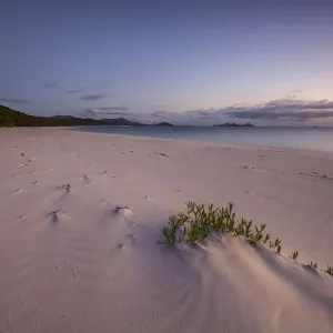 Whitehaven Beach Whitehaven Beach
