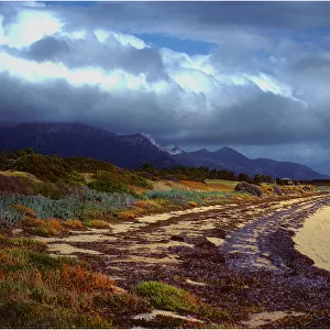 Whitemark beach, Flinders Island, Bass Strait, Tasmania, Australia