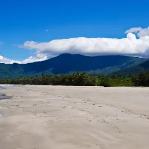 The wild and desert beach of Cape Tribulation The wild and desert beach of Cape Tribulation