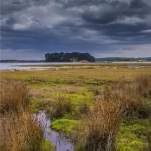 Wildlife and recreational reserve of Arne, the Isle of Purbeck, Dorset, England, United Kingdom