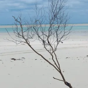 Willie Creek Beach