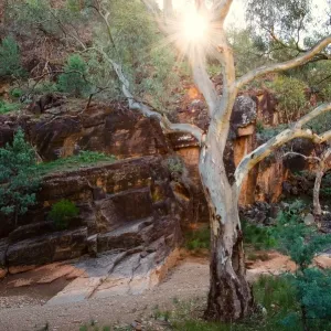 Willow springs gorge flinders ranges Willow springs gorge flinders ranges