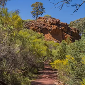 Wilpena canyon, Flinders Ranges, outback South Australia