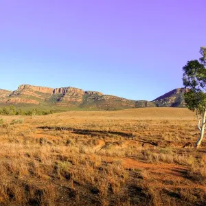 Wilpena Pound Wilpena Pound