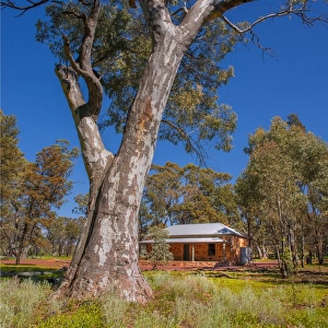 Wilpena pound, Flinders Ranges, outback South Australia