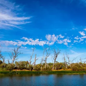 Wimmera River Landscape Print