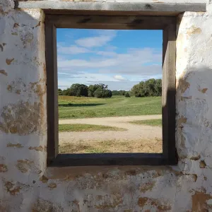 Through the window of time