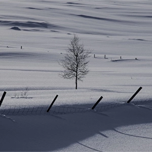 Winter fields near Godafoss