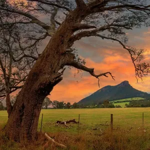 Winter Light, central-Victoria, Australia Winter Light, central-Victoria, Australia