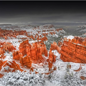 Winter and a mantle of snow in Bryce Canyon national park, Utah, USA