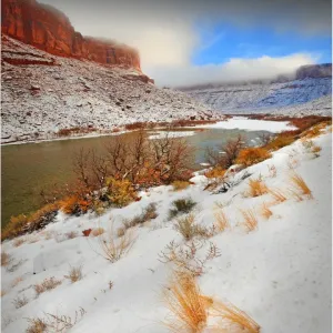 Images Dated 2010 January: 2 Jan 2010