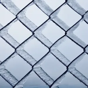 Winter Wonderland