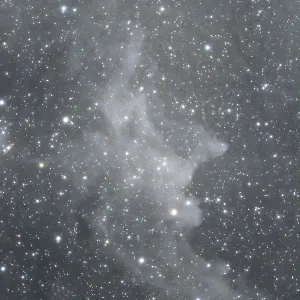 The Witch Head Nebula