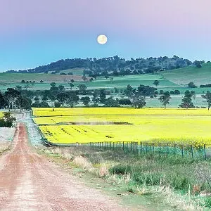 Images Dated 2012 October: 2 Oct 2012