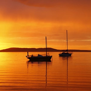 Yachts at dawn. Boston Bay. Australia