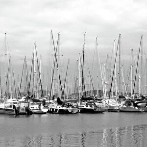 Yachts Galore Black & White, Cairns