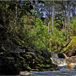Yarra creek, King Island, Bass Strait, Tasmania, Australia
