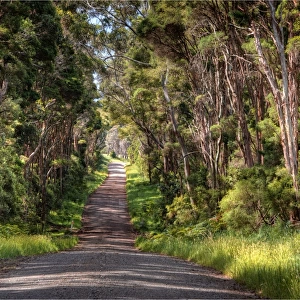 Yarra Creek road, in rural King Island, Bass Strait, Tasmania, Australia