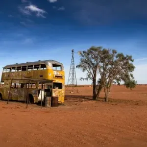 Yellow bus Yellow bus