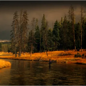 Yellowstone National Park, Wyoming, United States