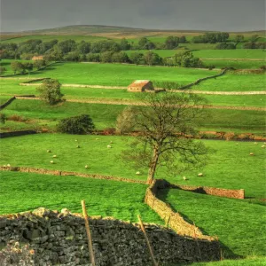 Images Dated 2011 October: 3 Oct 2011