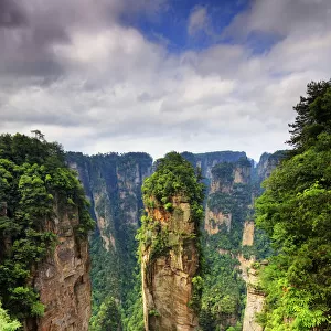 Zhangjiajie forest