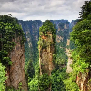 Zhangjiajie Forest Print - Wulingyuan Scenic Area, China