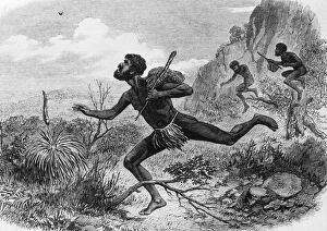 Images Dated 26th June 2015: 1863: Aboriginal hunters bee-hunters in the Australian bush