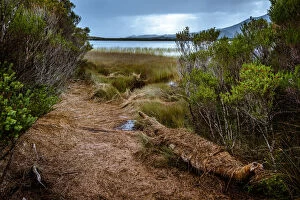 Images Dated 16th April 2016: Aboriginal Canoe at Melaleuca, Southwest Tasmania