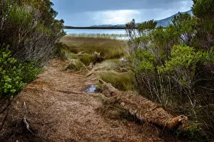 South West Cape Prints: Aboriginal Canoe at Melaleuca, Southwest Tasmania