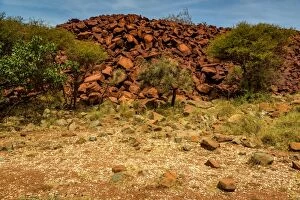 Images Dated 8th October 2016: Aboriginal midden composed of cockle shells