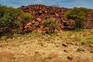 Dampier Peninsula Prints: Aboriginal midden composed of cockle shells