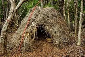 Aboriginal Shelter at Melaleuca, Southwest Tasmania