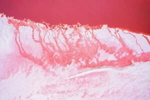Hutt Lagoon (Pink Lake) Collection: Abstract background, pink salt lake, Western Australia