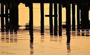 Fine Art Photography Collection: Abstract Jetty Woodwork