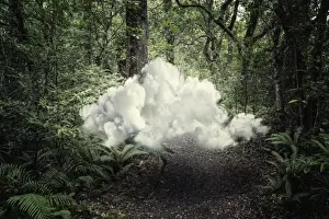 Convenience Prints: access, cloud, color image, communication, concept, connection, convenience, copy space