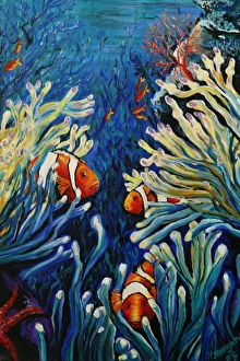 Nicola Morgan Artworks Prints: An acrylic painting of three clownfish dancing in the safety of their anemones
