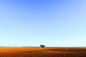 Adelaide Plains, alone, Australia, Australian, blue sky, earth. soil, flat, Getty Images