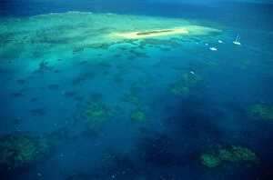 Great Barrier Reef Collection: Aerial of the Great Barrier Reef, Australia