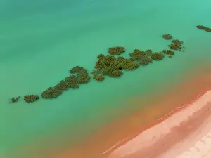 Images Dated 12th July 2023: Aerial image showing mangrove trees in the Indian Ocean off Simpson Beach