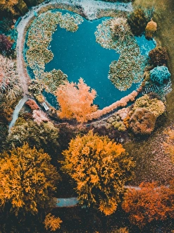 Aerial view of colourful trees with a lake with a heart shape Aerial view of colourful trees with a lake with a heart shape