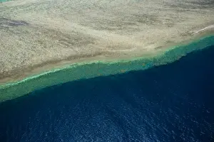 Coral Prints: Aerial view of the Great Barrier Reef, UNESCO World Heritage Site, Queensland, Australia