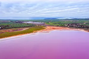 Aerial view of the green landscape, patterns, textures and amazing colors, pink Aerial view of the green landscape, patterns, textures and amazing colors, pink