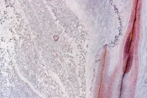 Images Dated 2021 July: Aerial view looking down onto colourful Sandstone slabs - Colourful Textured Abstract