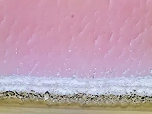 Images Dated 2022 February: Aerial view of the natural patterns of the salty pink Lake MacDonnell in South Australia